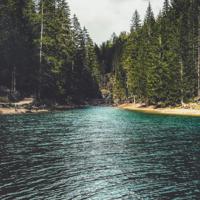 真正的美丽，不是青春的容颜，而是绽放的心灵