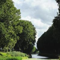 半夜千万不要发微信