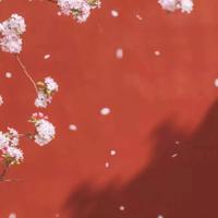 聆听他人之意见,但保留自己之判断