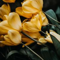 对着镜子双腿张开 揉核h 纯肉浪货高H