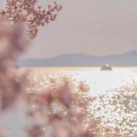 酷我音乐、中国青年报《战“疫”暖音》：关晓彤讲述抗疫一线动人爱情故事