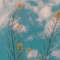 关于安静的句子48句