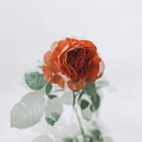 小沈阳经典语录-堪称史上最强