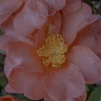 被分手的说说心情短语伤感难过的句子大全