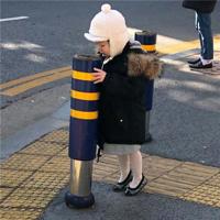 岁末感怀