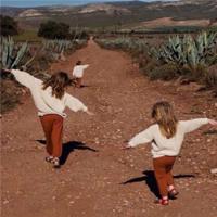 关于描写柳树的优美句子