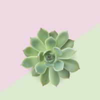 值得一生回味的100句凡人语