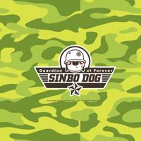 时间都去哪里了