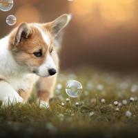 人生哲理短句，人生格言短句