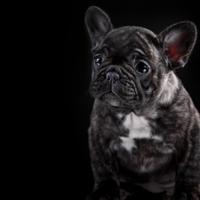 往事,碾入风尘中的尘香