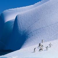 搞笑事件 已经笑死9999个了 您千万不要做第10000个