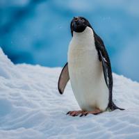 选择是一种力量