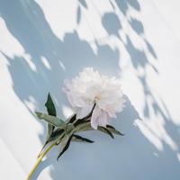 唯美浪漫心形爱情图片_永远爱你的心情