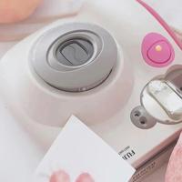 水仙花，飘扬在清水湾