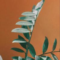 我要走了,抱抱我吧