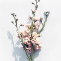 人生感悟:幸福来自于平衡