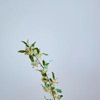 大炕上各弄各的 睁开眼看着我怎么吸你的