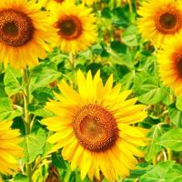 半夜流水的水龙头