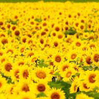 做人不能太贪婪，活着不能太浪费。