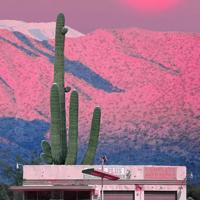 【悲欢的形体：冯至诗集】 - 雅众诗丛·国内卷