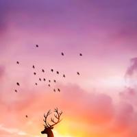 幸福只是来得慢了些