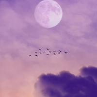 最大的幸福，是被爱的人需要