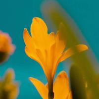 2011四则超搞笑的笑话