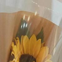 记住，我曾经喜欢过你