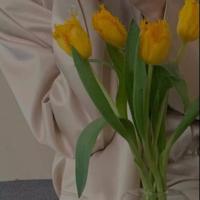 你不在的世界我到处躲藏