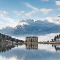 矮冬青之赞散文