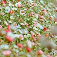 用心去聆听自己