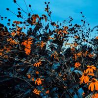 早安打工人搞笑句子,早安短句