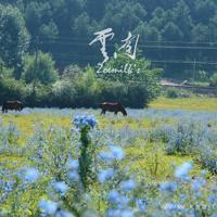 我爱你却不能爱，你知道吗？