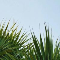 恶有恶报之女鬼复仇