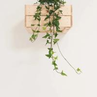 非主流意境街景图片_唯美漂亮的街景