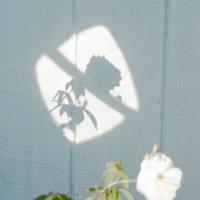 励志个性签名致自己短语