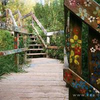 史玉柱经典语录、管理无情,人有情