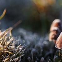 对人生有指导意义的励志话语句子