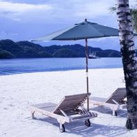 痴情的一方注定伤的最深，自古痴情终成空。