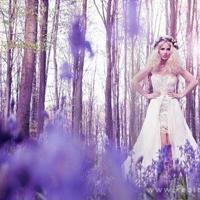 我对于鬼的研究