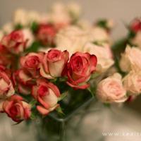 常回家看看父母的发自内心感人说说情感语录精选