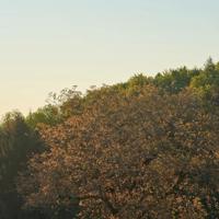 想念是一种美丽的感动