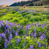 世界读书日:我们为什么要多读书?