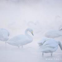 一艘破烂的小船