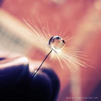 让土地休息一会儿