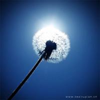 作文好句好段好文摘抄