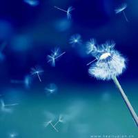 描写春天田野的优美句子