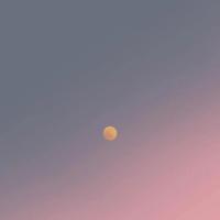 张晓:含泪奔跑的阳光少年