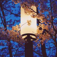 大风起兮云飞扬