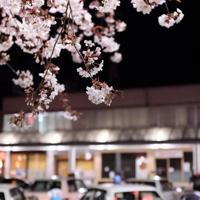 过好属于自己生活的每一天